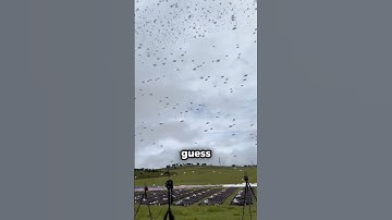 Expensive Chinese Drones!