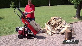 Spaccalegna Spl11Polh- Ceccato Olindo