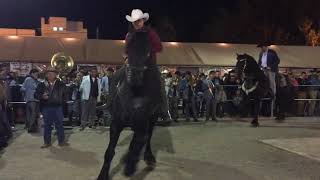 Fiestas de enero Arandas caballos bailando 2018 enero