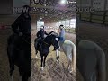 @Forte_eq #viral #equestrian #horse #bsf #bestfriends #loveyou #protection