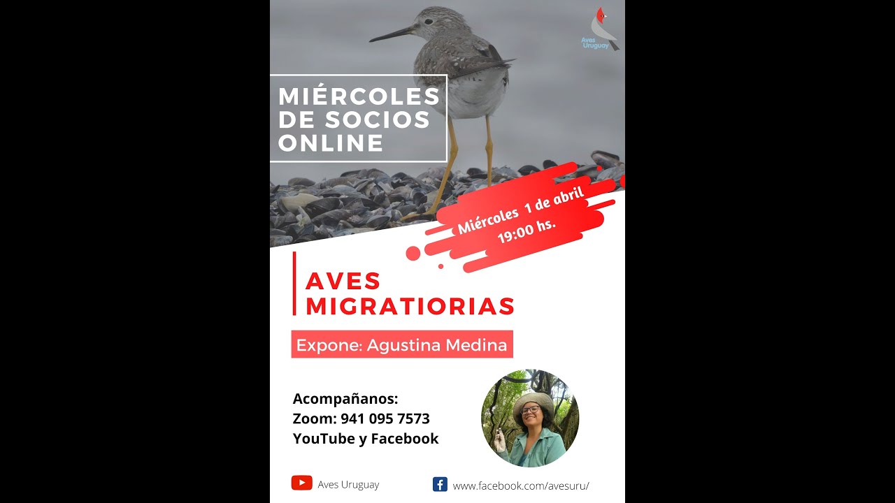 Charla: Aves Migratorias