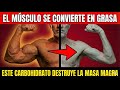 MAYORES DE 50 Elimina estos 5 alimento ahora! ¡Convierte el músculo en grasa!