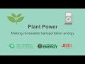 Plant power making renewable transportation energy