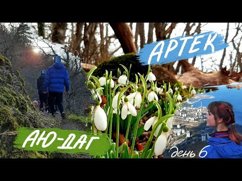 АРТЕК: день 6