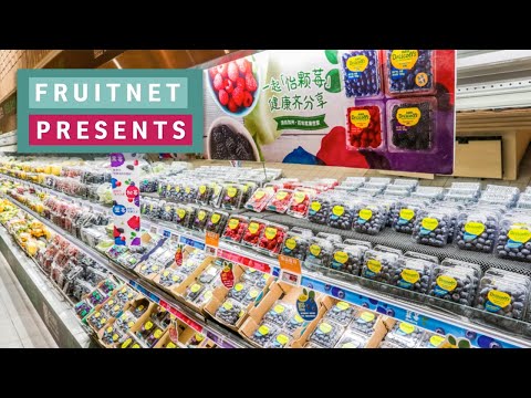 Fruitnet Presents: Driscoll's China