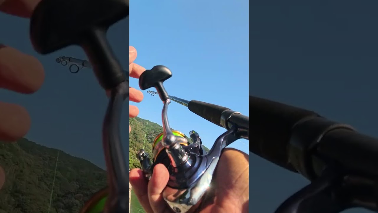 POV: Midnight Sea Waves for Overthinking Students 🌊🌙