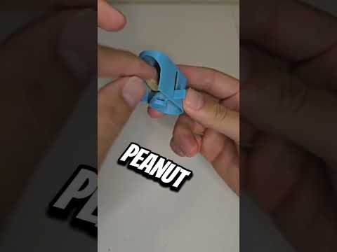 The Nut Buster