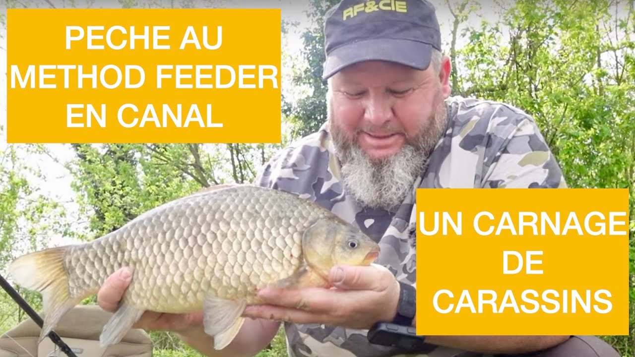 PECHE au METHOD FEEDER en CANAL  Un CARNAGE de CARASSINS   4K