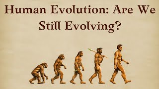 Human Evolution: Are We Still Evolving?