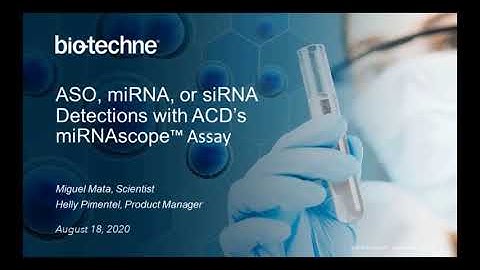 BioTechne ANZ miRNAscope Webinar  Visualize ASO, miRNA, and siRNA Detections with Spatial Resolution
