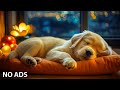 12 Hours Relaxing Dog Music🎵Calming Music For Dogs🐶Separation Anxiety Relief Music💖Dog TV-No Ads