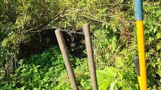 Uk Gardening | Growing Outdoors in the Uk