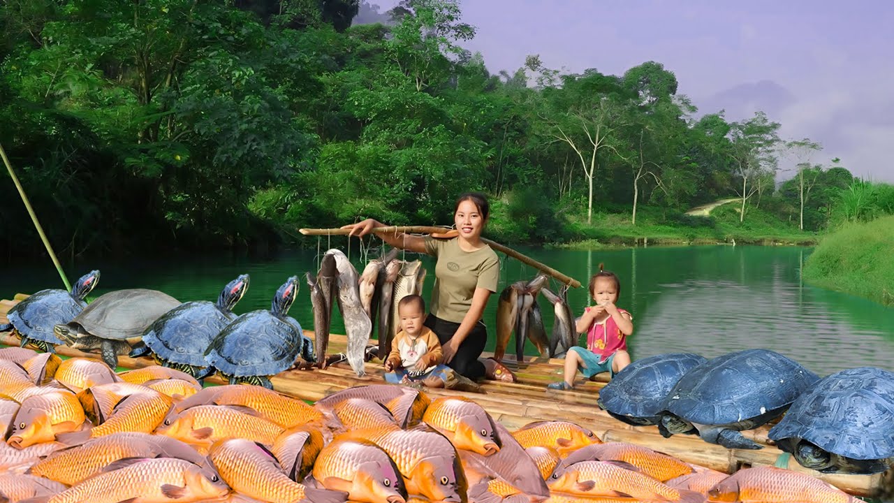 How to Trap and Catch the Mysterious Turtle herd and Giant Fish by Ms. Duong's family | Village Life