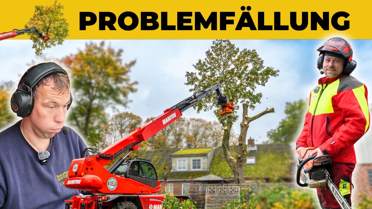 Problemfällung mit Teleporter und Woodcracker CS750, zwei Bäume sicher gefällt. Baustellen Vlog 1