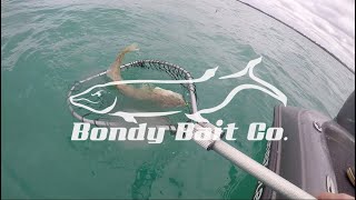 2023 Bondy Baits