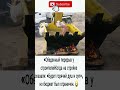 «Обеденный перерыв у строителей #животные #мемчик #майнкрафт #мемы #ютуб #смешно #ютубшортс #comedy