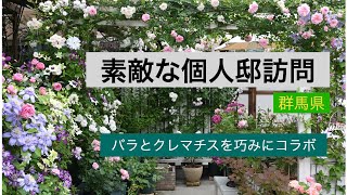 【個人邸】バラとクレマチス、鉢植えでもこんなにたくさん咲かせられます！