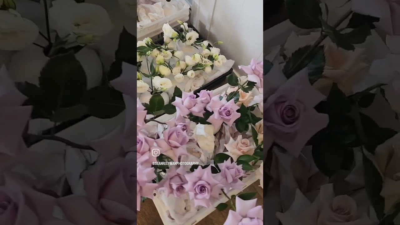 Maleny Manor Wedding - Sunshine Coast - BTS - Sean Reefman Photography www.srphotography.net.au