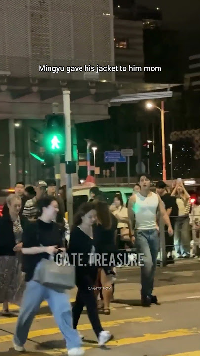 our best boy Kim Mingyu #seventeen #mingyu #vernon #shorts #fypシ゚viral