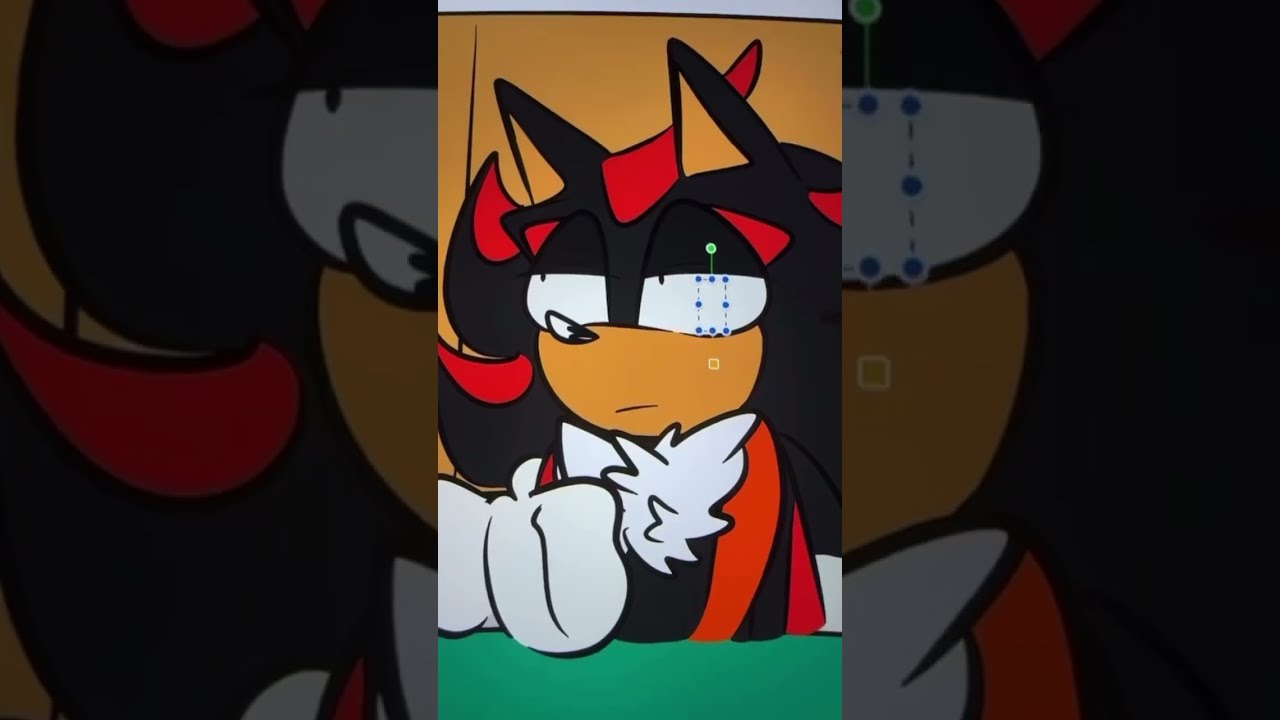 Sonic Characters On Rollercoaster Sonicthehedgehog Shadowthehedgehog Amyrose Sonadow