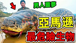 亞馬遜最危險的10種致命生物！食人魚竟然只排第6，第一名是所有男人的噩夢。|#世界之最top #世界之最 #出類拔萃 #腦洞大開 #top10 #亞馬遜 #最危險生物