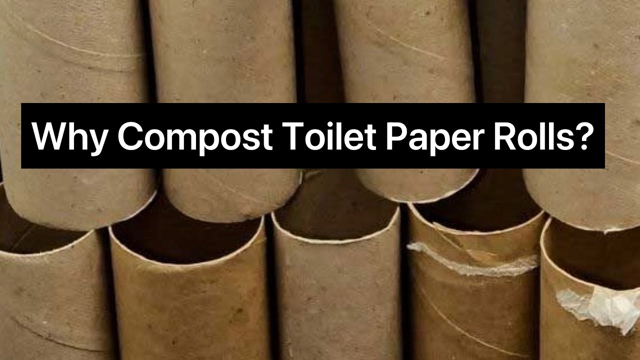 Why Compost Toilet Paper Rolls?