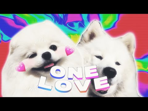 one-love-💕💕💕-(doggo-edit)