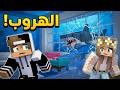كيف ننجو القرش حطم بيتنا والماء في كل مكان  mp3