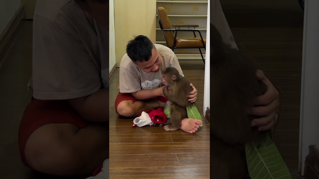 Cutis gets angry when Dad hides things 2