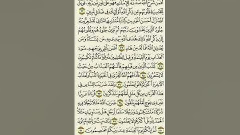 سورة الزمر من الآية ٢٢ إلى الآية ٣١بصوت القارئ ماهر المعيقلي
