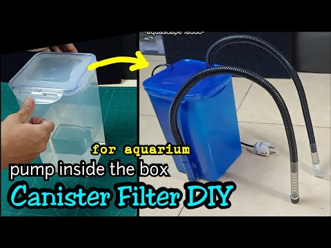 Video: Cara Membuat Filter Eksternal Untuk Akuarium