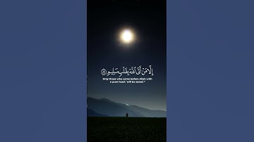 آيات من سورة الشعراء * ولا تخزني يوم يبعثون * بصوت القارئ أحمد النفيس