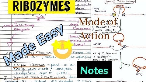 Ribozymes (classification, Examples, mode of action) #notes #enzymology