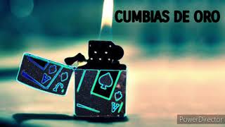 LOS TIGRES DE LA CUMBIA - CORAZÓN EN SOLEDAD (LETRA)