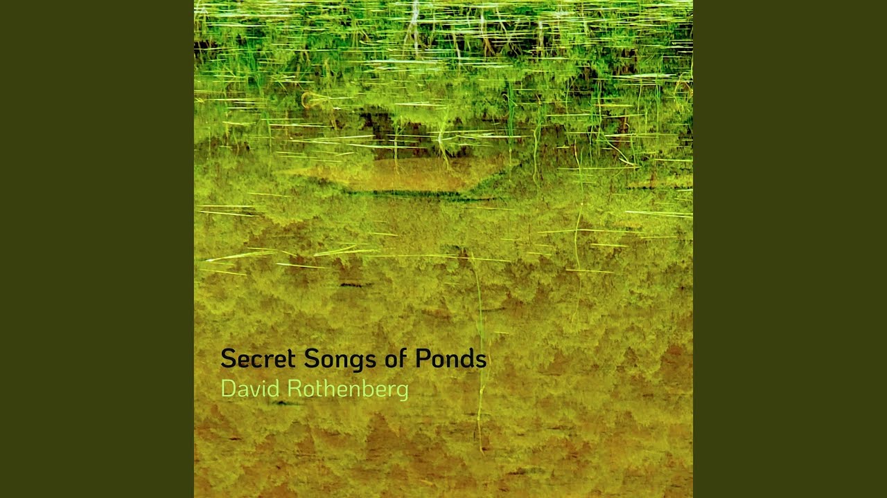 State Forest Pond Ring (feat. Ilgin Deniz Akseloglu)