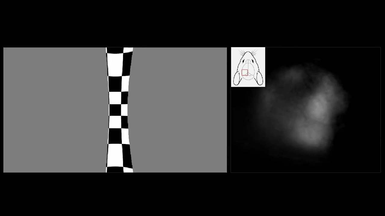Techniques for Retinotopic Mapping