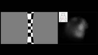 Techniques for Retinotopic Mapping