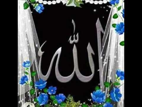 Muhammad Naveed Qadri Naats