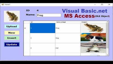 Visual Basic .net| How to update and delete images (ole Object) in MS Access #database