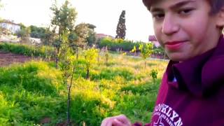 1000 Km Hızla Dönemiyen Stres Çarkı