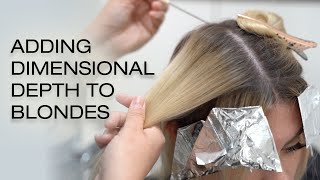 How to Shadow Root with Dimension | Lowlighting All Over Blonde Hair | Kenra Color screenshot 3