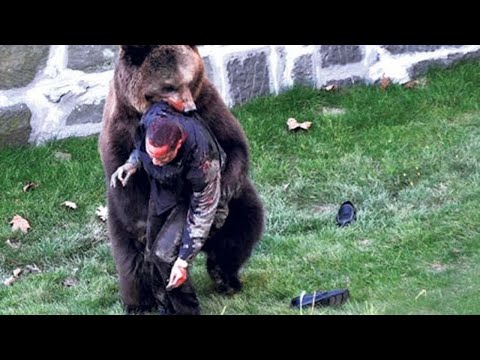 Video: Mastikdən Teddy Ayısı Necə Hazırlanır