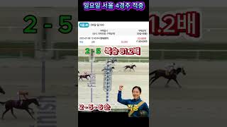 예상 그대로 터졌다! #경마 #경마예상 #AI예상 #Shorts #추천영상#서울경마