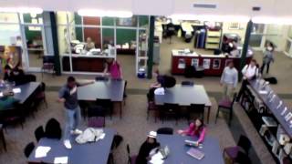 Harlem shake in library (Official Video)