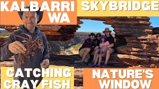 🎣 Kalbarri Crays, Clifftops & Cold Beers! | Big Lap Family Adventure 🦞🍻