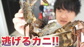 脱走のプロ！！モクズガニでパスタを作る！！