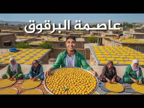 أغرب مدينة إيرانية مدينة البرقوق 