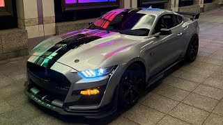 Late Night Terrorizing Streets in My 1400HP Shelby GT500 *POV*