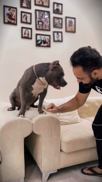 How Girls vs Boys talk to Dogs 😆 #shorts | Harpreet SDC