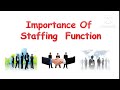 Staffing/ Importance of Staffing